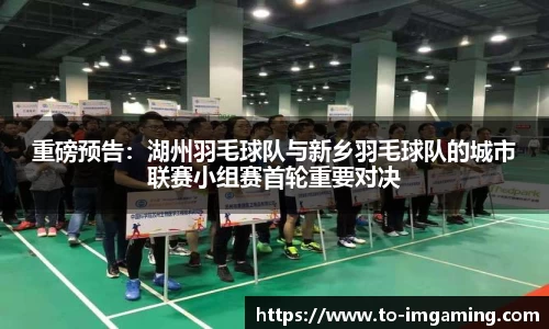 IM电竞官方网站